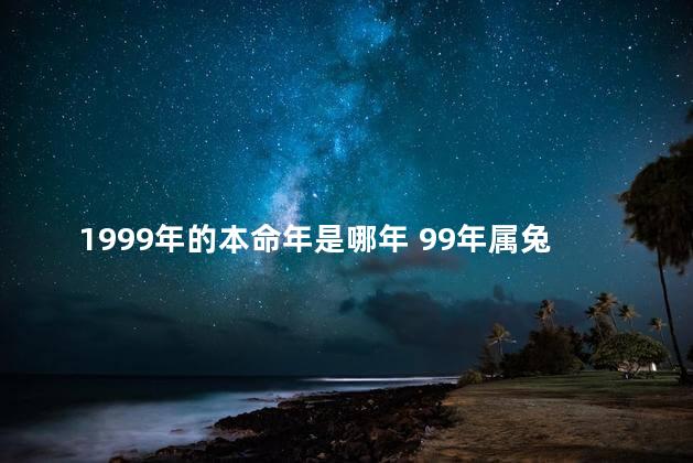 1999年的本命年是哪年 99年属兔的本命年
